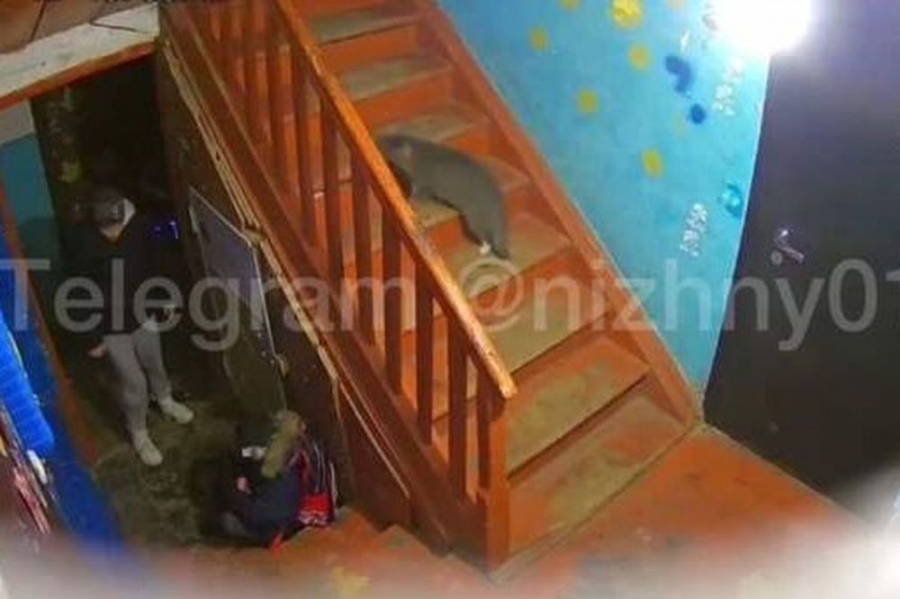 Фото Органы опеки заберут детей у избившей сына женщины из Нижегородской области - Новости Живем в Нижнем