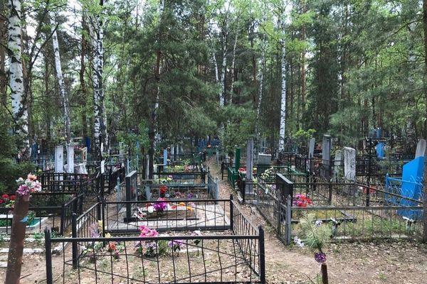 Фото Кладбище «Берёзовая роща» расширят в Нижнем Новгороде - Новости Живем в Нижнем