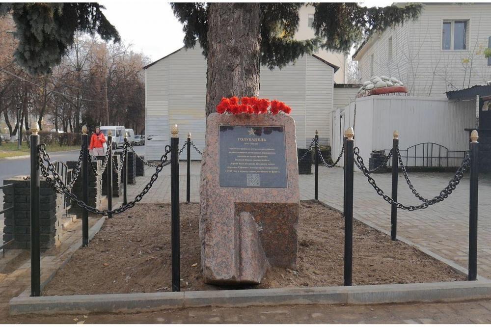Фото Памятник самой старой ели открыли в Сормовском районе - Новости Живем в Нижнем