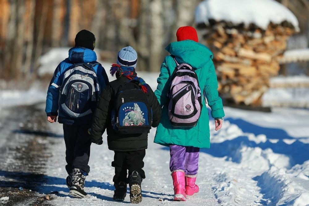 Нижегородские школы самостоятельно определят сроки зимних каникул