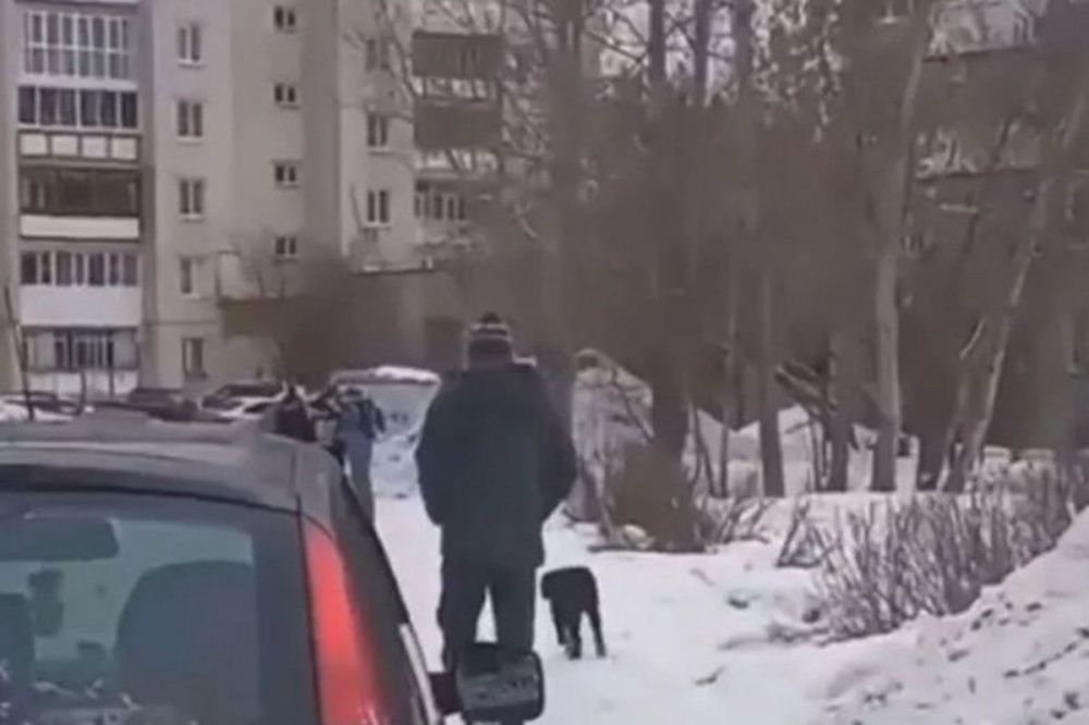Полицейские установили личность стрелявшего в собаку мужчины в Дзержинске