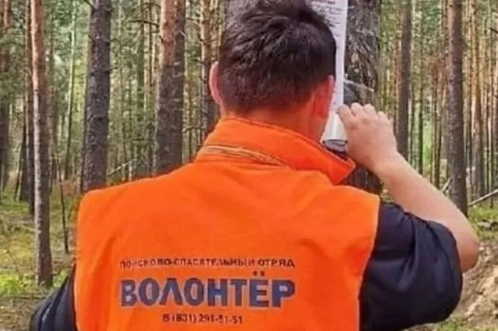 Фото Пропавший в лесу Варнавинского района пенсионер найден живым - Новости Живем в Нижнем