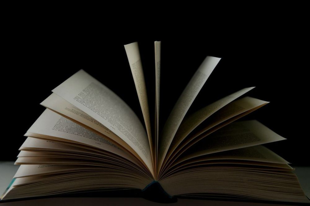 «Литературные чтения» пройдут в нижегородском парке «Дубки» 18 сентября 