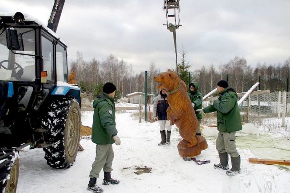 Фигуры медведей установили в Керженском заповеднике