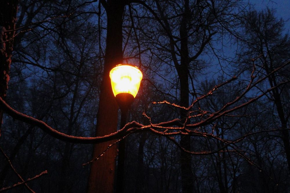Фото 3,5 тыс. фонарей заменят у нижегородских школ и детских садов в 2022-2023 годах - Новости Живем в Нижнем
