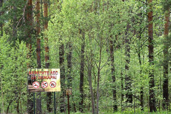 Запрет на посещение городских лесов действует на территории Нижнего Новгорода 