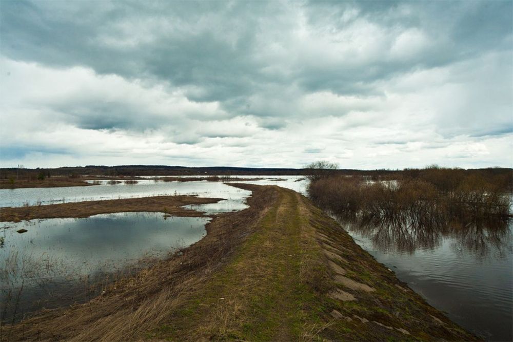 Роспотребнадзор усилил контроль на подверженных паводкам территориях Нижегородской области
