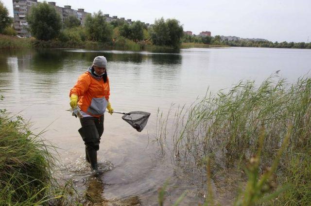 В Нижнем Новгороде волонтеры вывезли с берега озера больше тонны мусора
