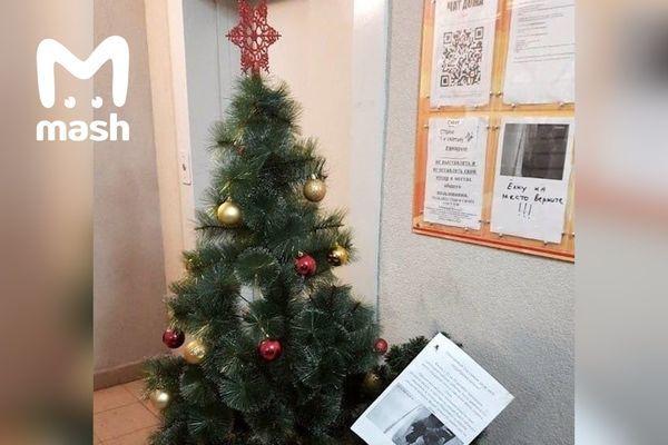 Фото Похищенная новогодняя елка вернулась на свое законное место - Новости Живем в Нижнем
