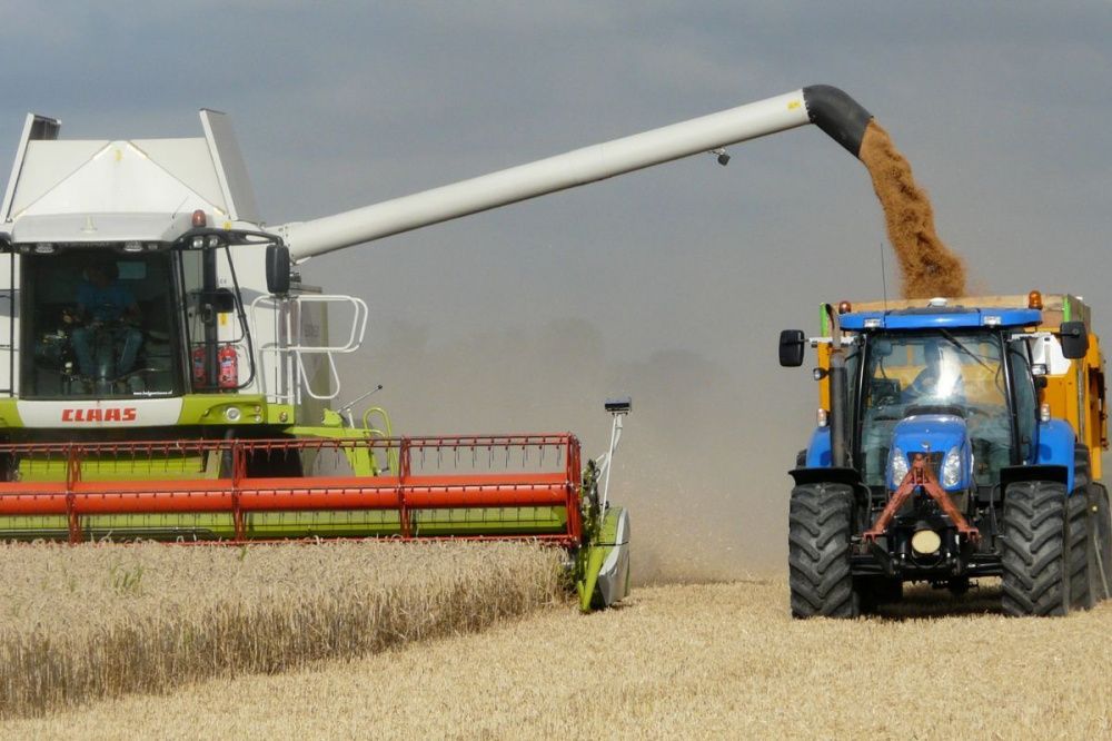 План по производству зерна в Нижегородской области перевыполнен на 20%