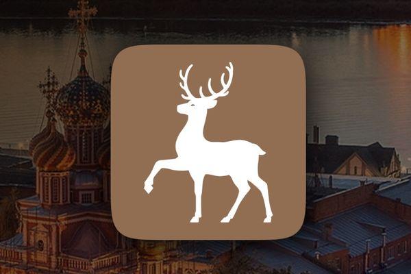Фото Электронный кошелек добавлен в приложение «Карта жителя Нижегородской области» - Новости Живем в Нижнем