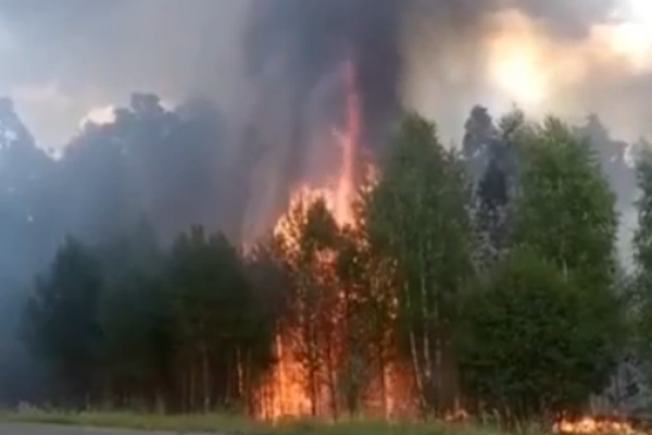 20 жителей поселка Берещино эвакуировали из-за лесного пожара под Первомайском
