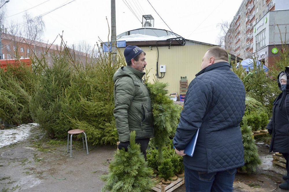 4 факта незаконной торговли елками зафиксировали в Нижнем Новгороде