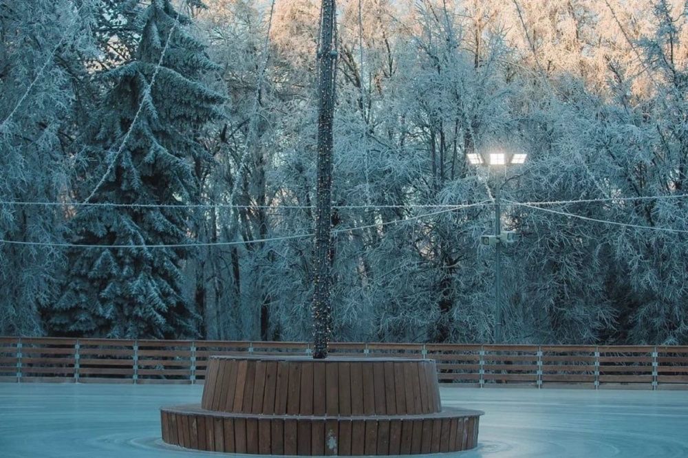 Ледовый каток открылся в нижегородском парке «Швейцария»