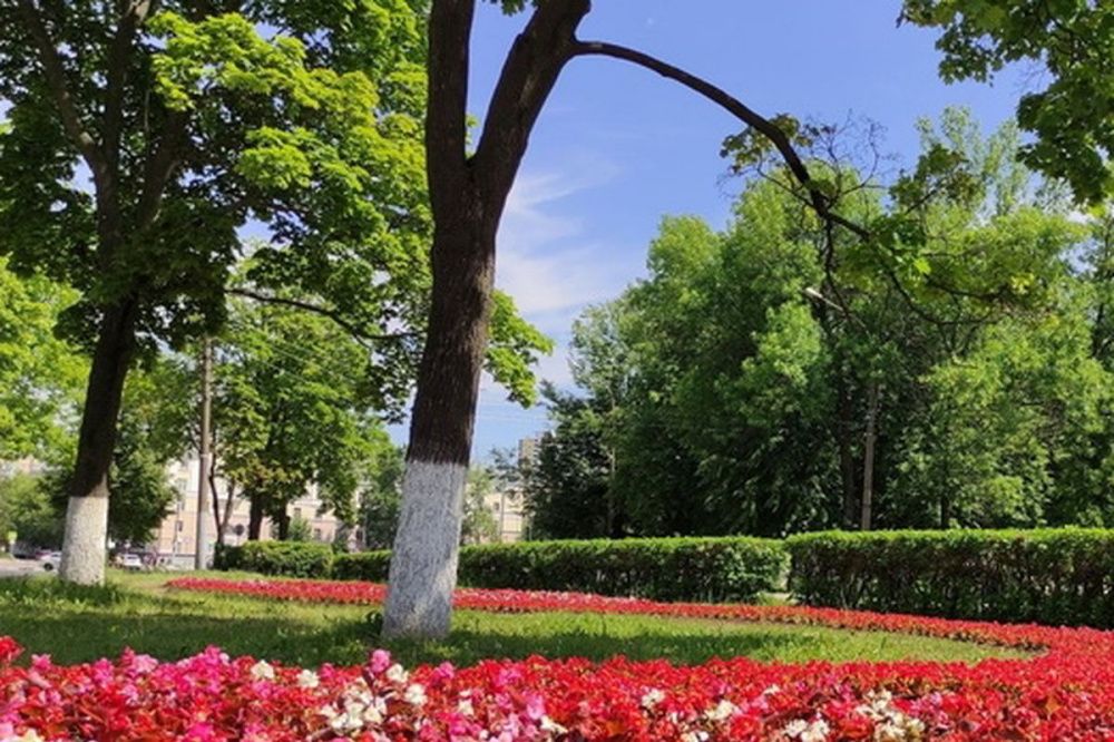 Фото Более пяти тысяч цветников обустроят в Сормовском районе к лету 2022 года - Новости Живем в Нижнем