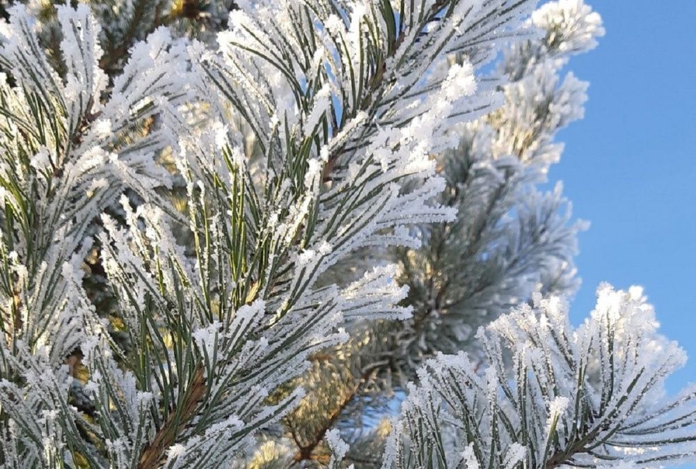 Фото Похолодание до -24 градусов идет в Нижегородскую область - Новости Живем в Нижнем