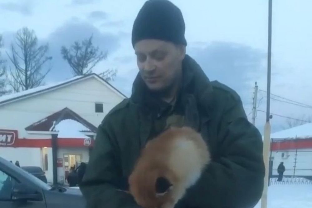 Мужчина спас хромающую лису в Нижегородской области 