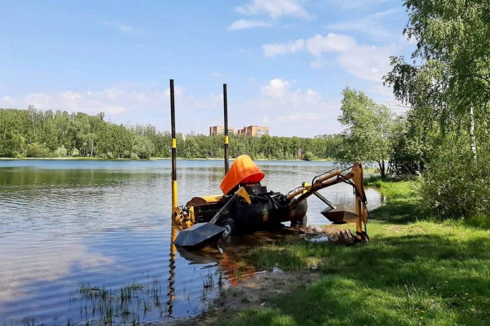 Фото 6 июня в Нижнем Новгороде начнут расчищать озеро в Светлоярском парке - Новости Живем в Нижнем
