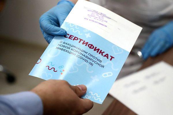 3 уголовных дела за поддельные справки о вакцинации возбудили в Нижегородской области
