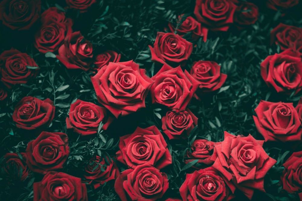 Вор-романтик задержан полицейскими за кражу букета роз из цветочного магазина