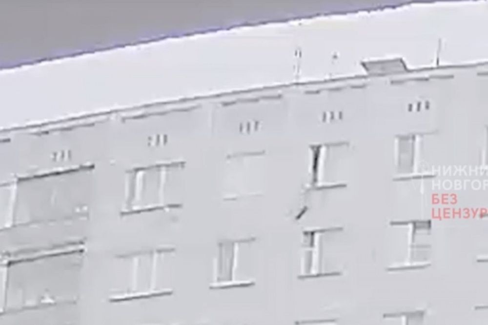 Кошку выбросили из окна девятого этажа в Сормовском районе Нижнего Новгорода