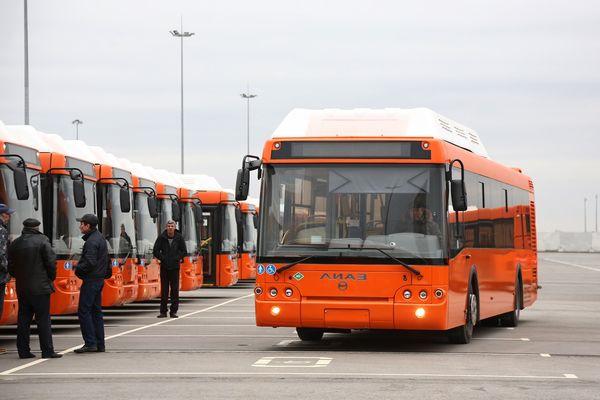 В Нижнем Новгороде отменена закупка 20 низкопольных автобусов
