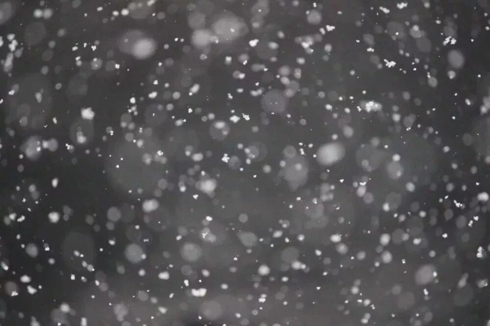 Снег и −6° предсказали синоптики нижегородцам на 28-29 января