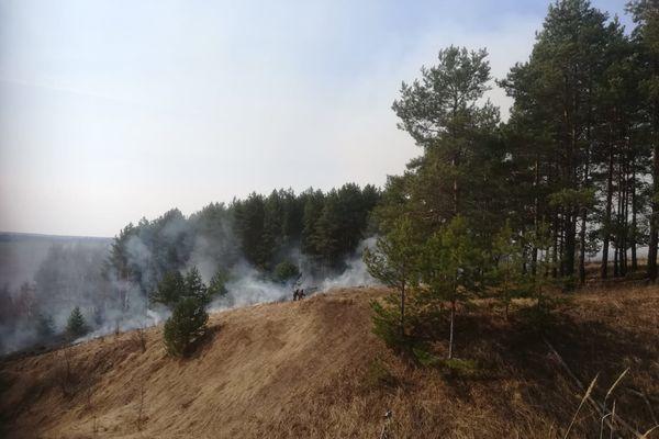 Крупный пожар произошел рядом с селом Работки в Кстовском районе 