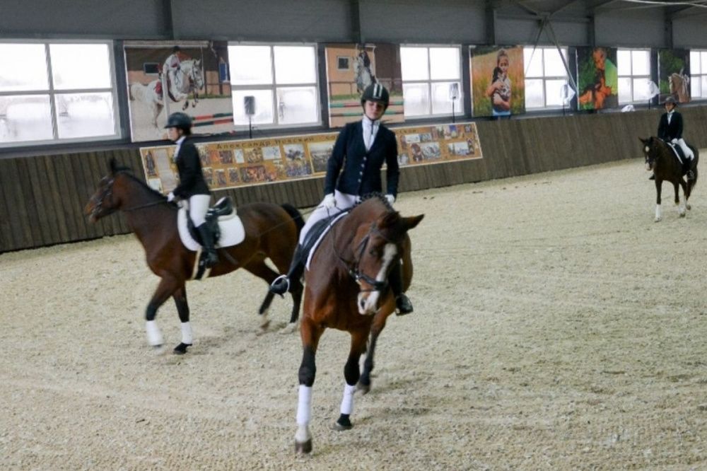 Новый манеж для конного спорта поможет развитию иппотерапии в Нижнем Новгороде