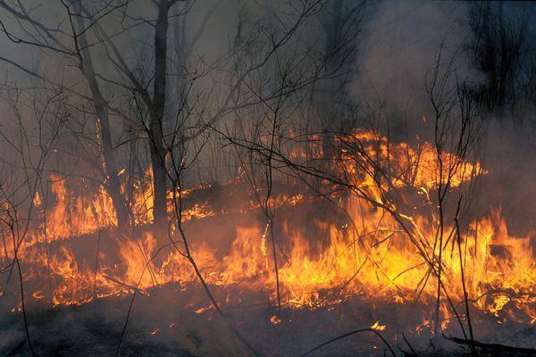 Пожарные и военнослужащие спаслись из огня в Нижегородской области