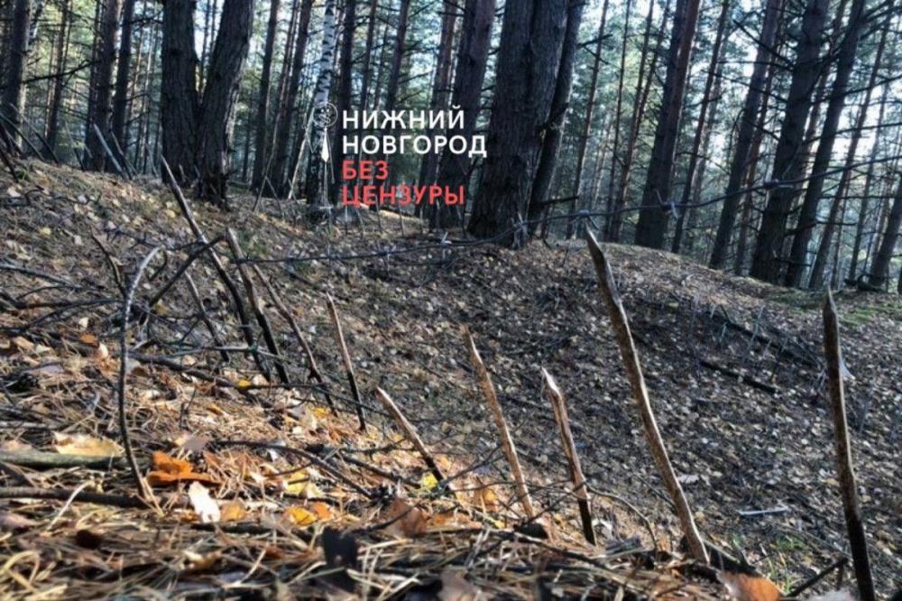 Ловушку с острыми кольями обнаружили в лесу в Володарском районе