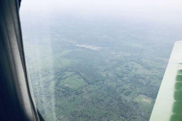 Леса в Нижегородской области начала патрулировать авиация 