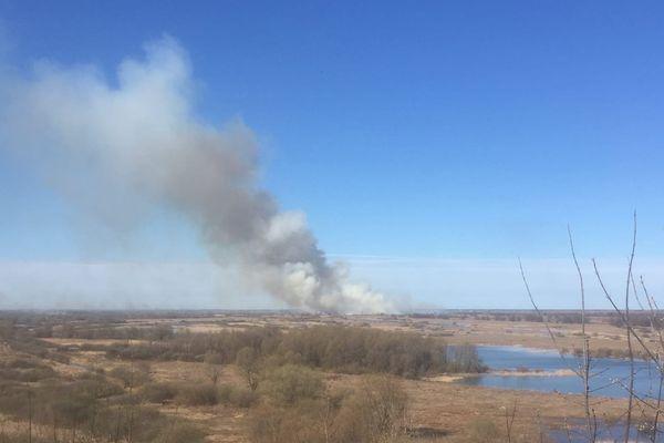 Пожар в Артемовских лугах под Нижним Новгородом потушен 19 апреля