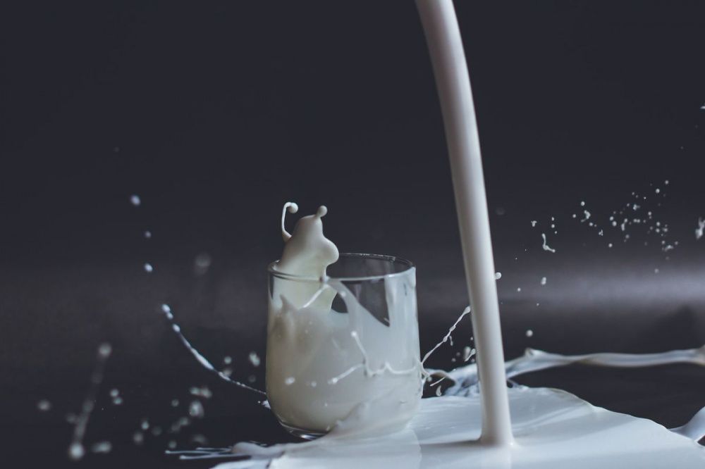 Фото Специалисты Нижегородского референтного центра обнаружили опасный антибиотик в молоке - Новости Живем в Нижнем