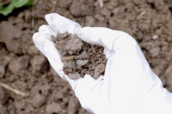 Превышенное содержание бензапирена обнаружили в почве из Нижнего Новгорода
