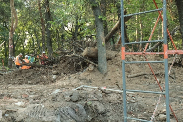 Фото Подрядчик обещает вылечить поврежденные деревья в нижегородском парке «Швейцария» - Новости Живем в Нижнем