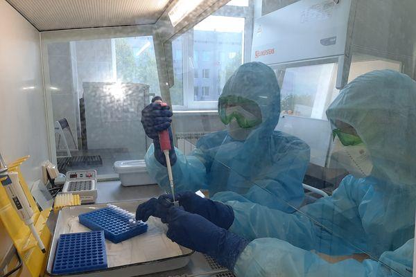 Вакцину от COVID-19 в виде назального спрея разрабатываю учёные в Нижнем Новгороде