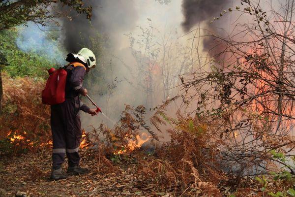 Высокая пожароопасность лесов сохранится в Нижегородской области до 29 мая
