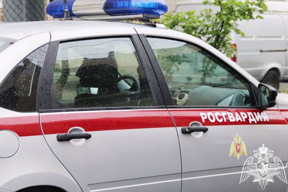 Нижегородские росгвардейцы пресекли серию краж из магазинов