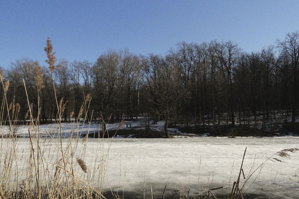 Фото Потепление и снегопады ожидаются в Нижегородской области в начале февраля - Новости Живем в Нижнем