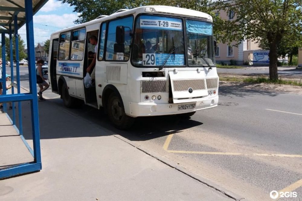 Факт высадки ребенка из автобуса в Дзержинске проверяет прокуратура