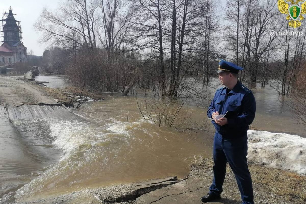 Глав двух округов Нижегородской обязали устранить последствия паводка