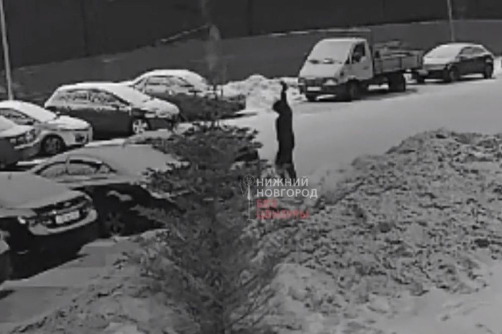 Мужчина разбил автомобиль топором в Нижнем Новгороде