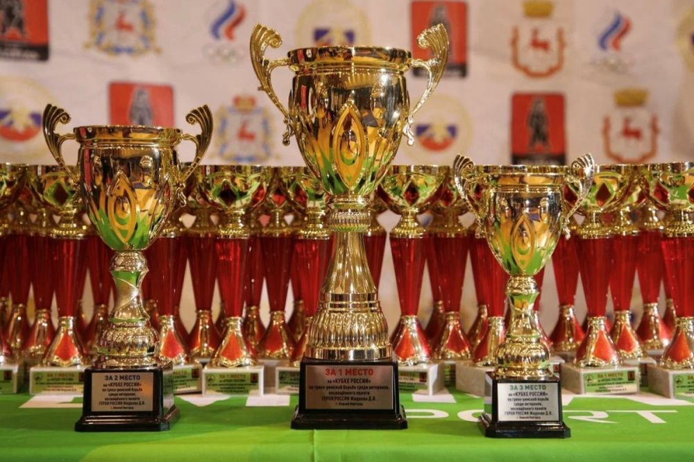 Нижегородские борцы взяли семь медалей на Кубке России по греко-римской борьбе