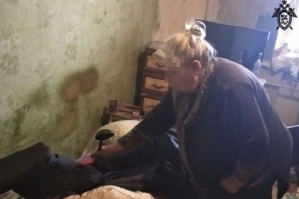 Пенсионерку из Дзержинска признали виновной в убийстве зятя