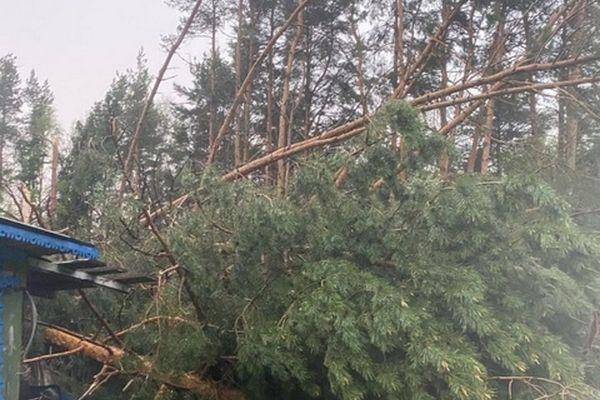 Ураган оставил без света 462 населенных пункта Нижегородской области 