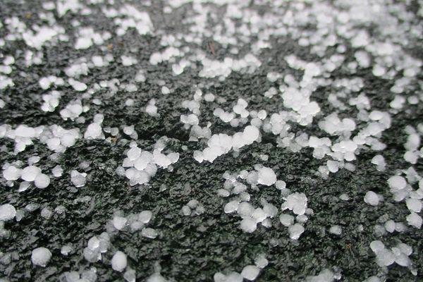 Первый снег выпал в Керженском заповеднике в Нижегородской области