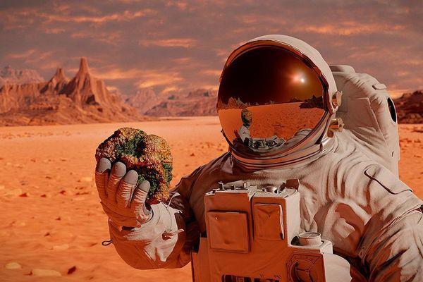 Фото Каждый третий нижегородец хочет участвовать в колонизации Марса - Новости Живем в Нижнем