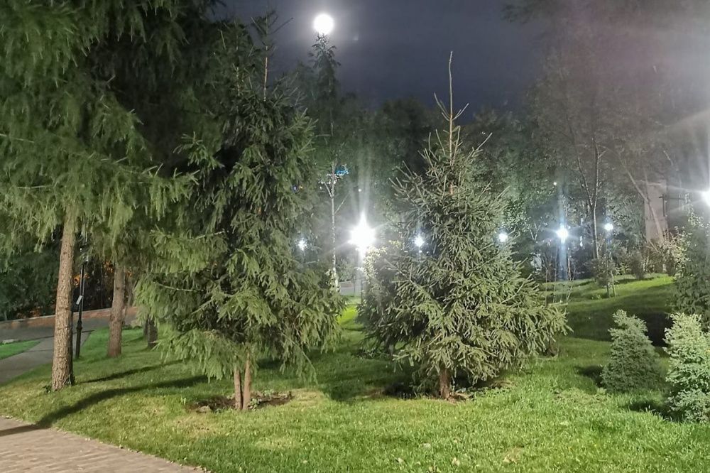 Террасный парк планируют построить в Почаинском овраге в Нижнем Новгороде
