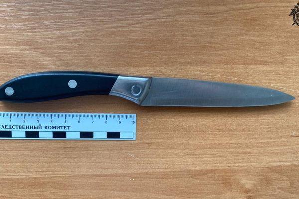 Нижегородский подросток напал с ножом на родного брата
